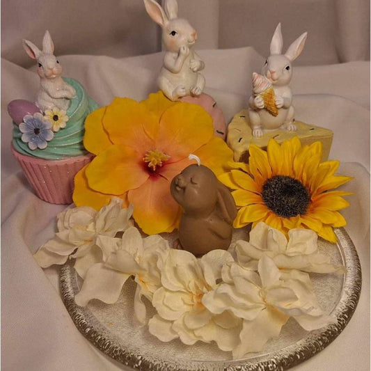 ΛΑΓΟΥΔΑΚΙ ΚΑΦΕ