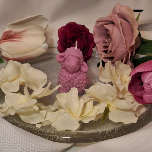 ΑΡΝΑΚΙ ΧΡΩΜΑΤΟΣ ΡΟΖ