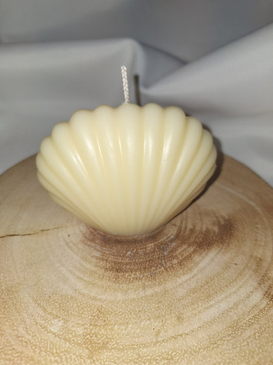 Shell Candle