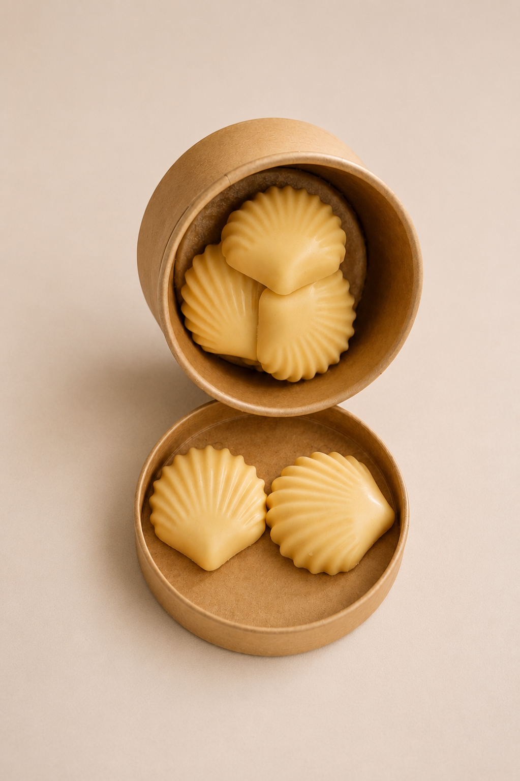 Seashell Wax Melts
