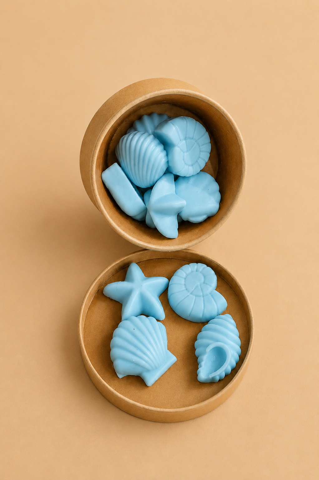Seashell Dreams