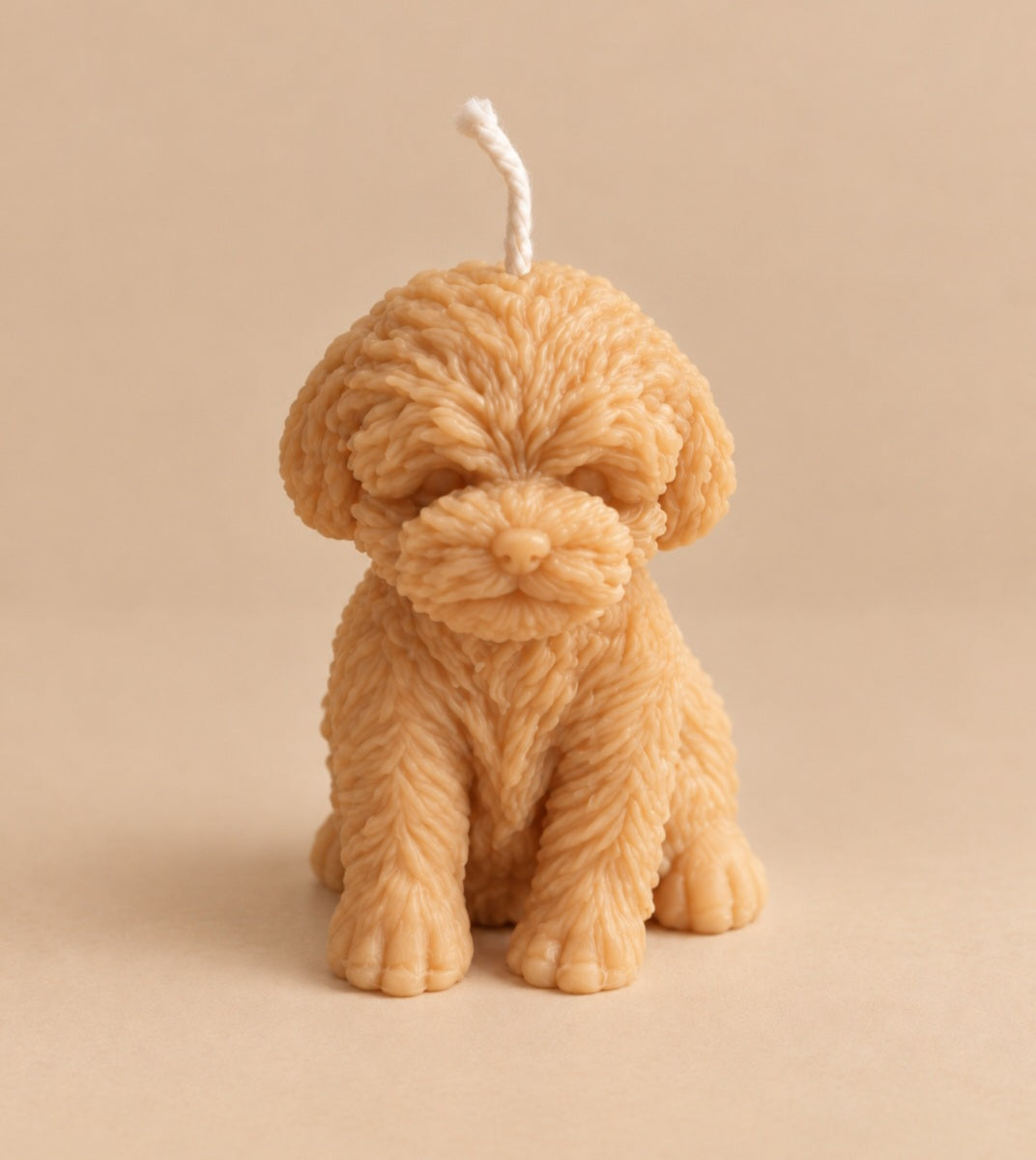 Velvet Puppy
