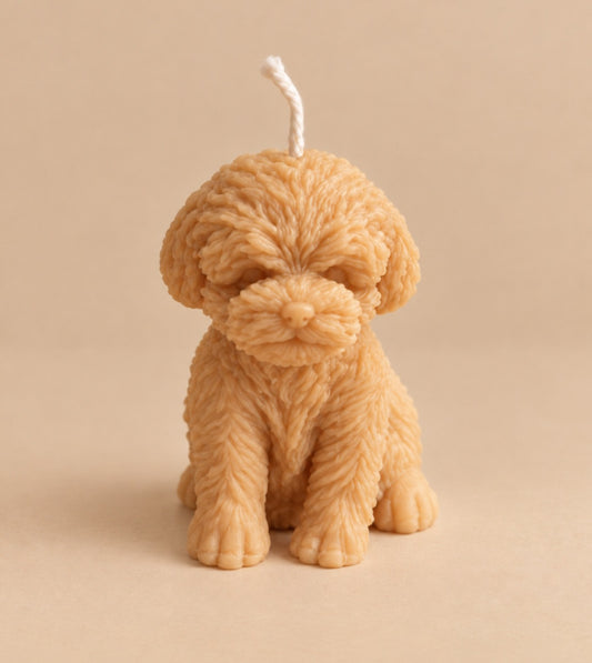 Velvet Puppy