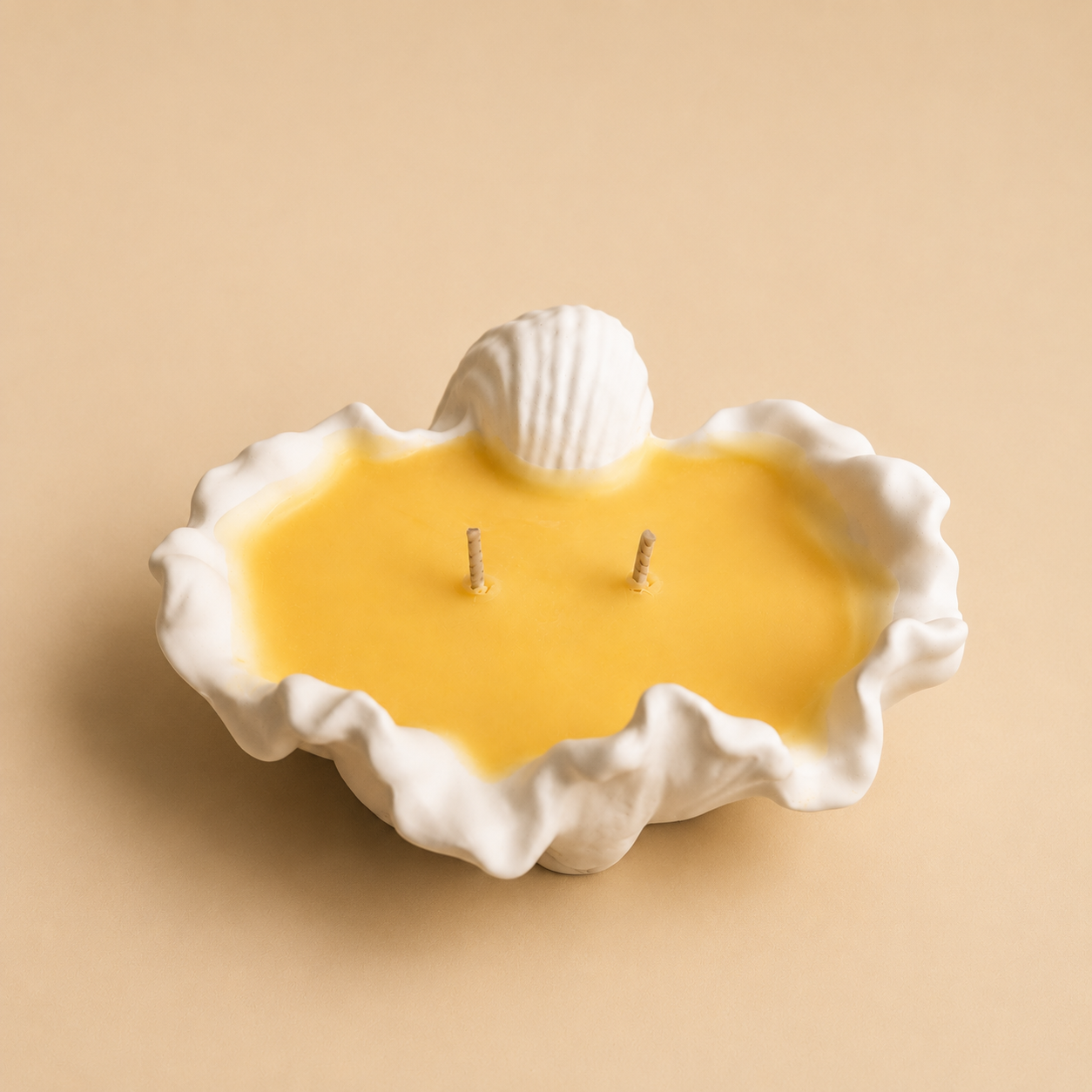 Golden Shell