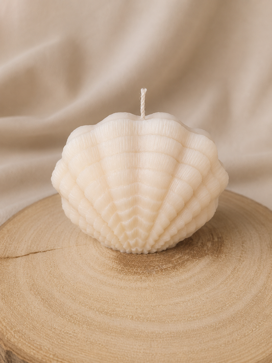 Shell Serenity